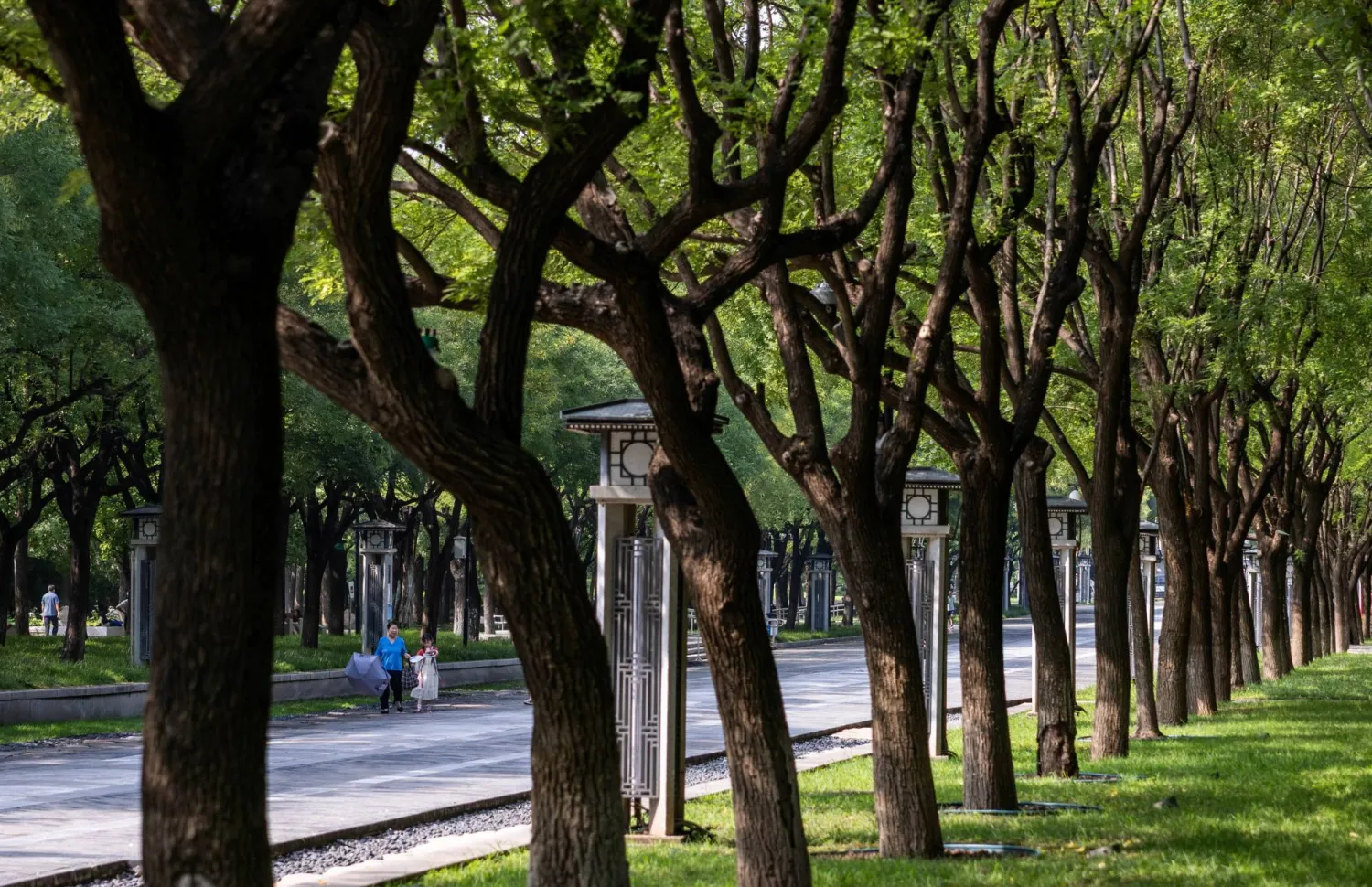 A woman and a girl walk in a park in Beijing, China August 17, 2025. REUTERS/Maxim Shemetov