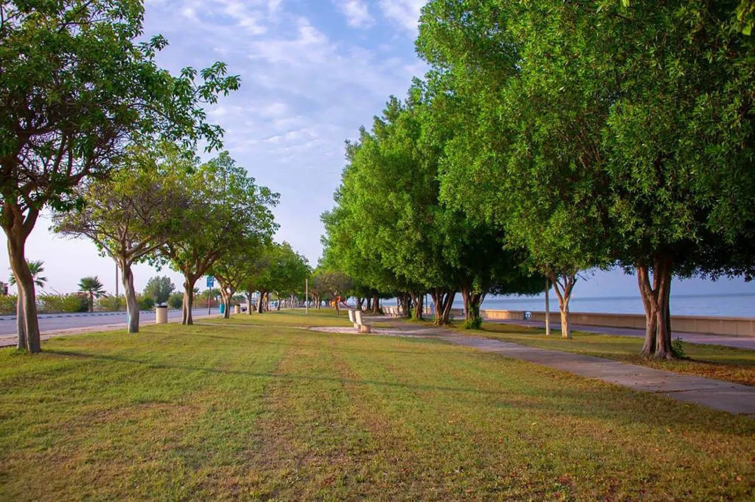 منطقة تم تشجيرها من قبل أمانة الشرقية في حاضرة الدمام (واس)
