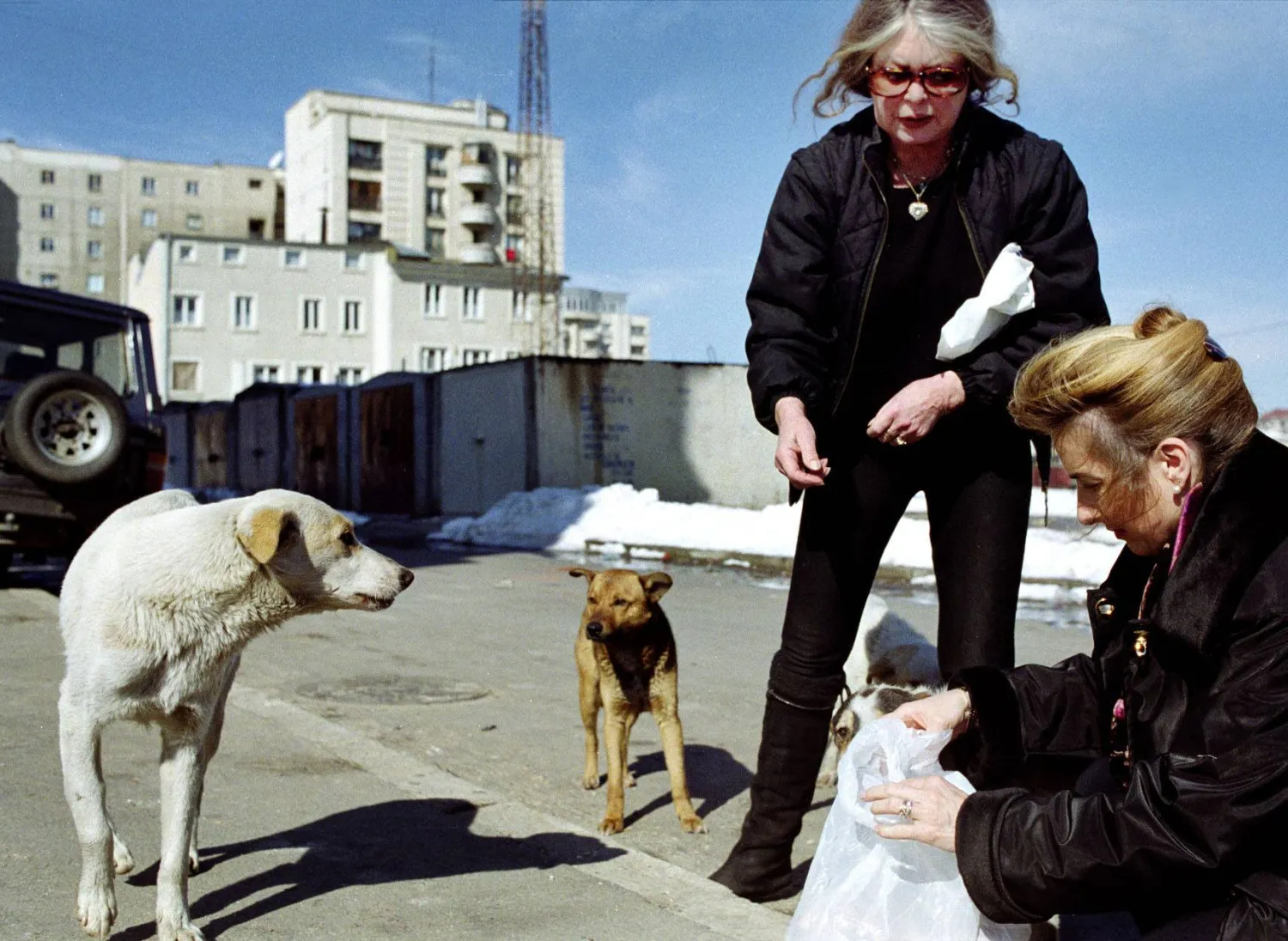 بريجيت باردو في عالمها المفضّل (غيتي)