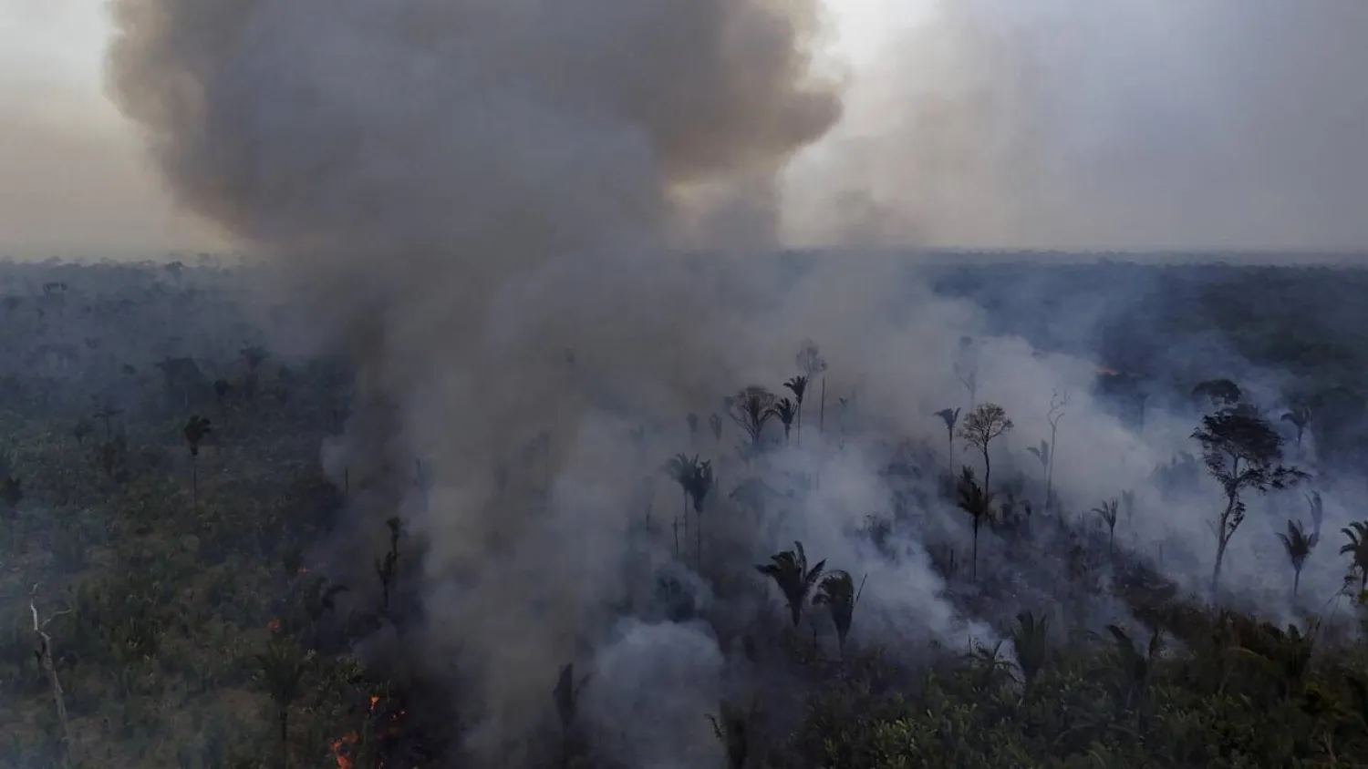 Aerial view of a fire in the Amazon rainforest near the northern Brazilian city of Labrea on September 4, 2024. MICHAEL DANTAS / AFP/File