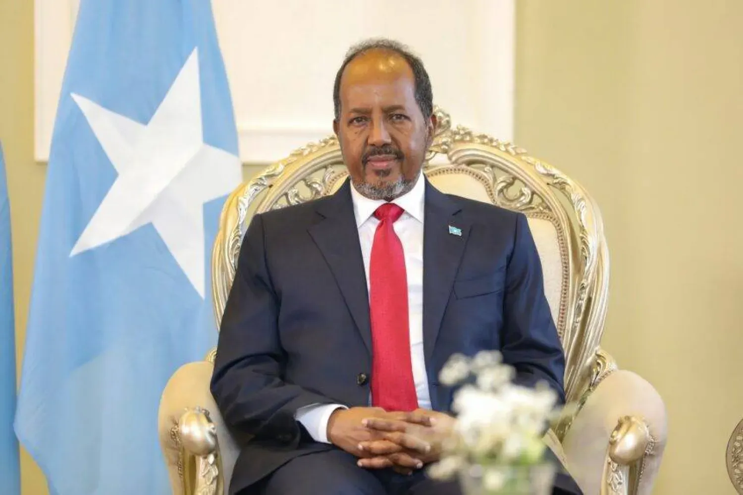 Somali Cumhurbaşkanı Hasan Şeyh Mahmud (Somali Haber Ajansı)