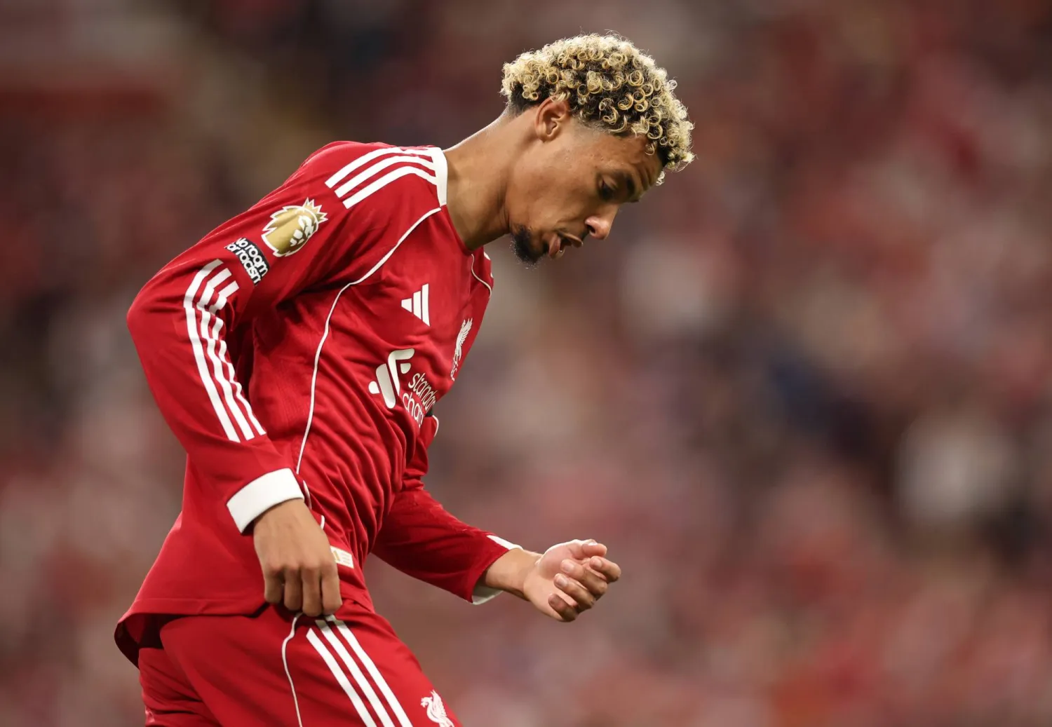 هوجو إيكيتيكي