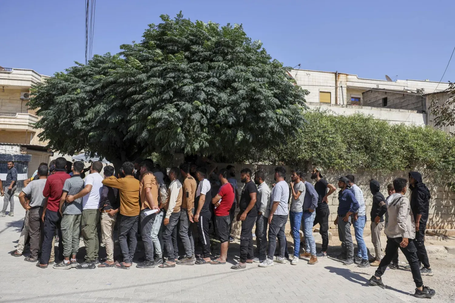 Afrin'deki bir polis karakolunda Suriye hükümetine bağlı İç Güvenlik Güçleri'ne katılmak için kayıt sırasına giren Kürt gençler (AP)