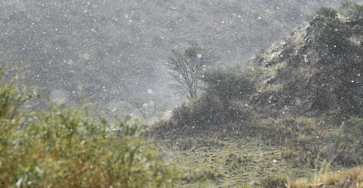 طقس ماطر يكسر قواعد المألوف من لهيب الصيف ودرجاته العالية (واس)