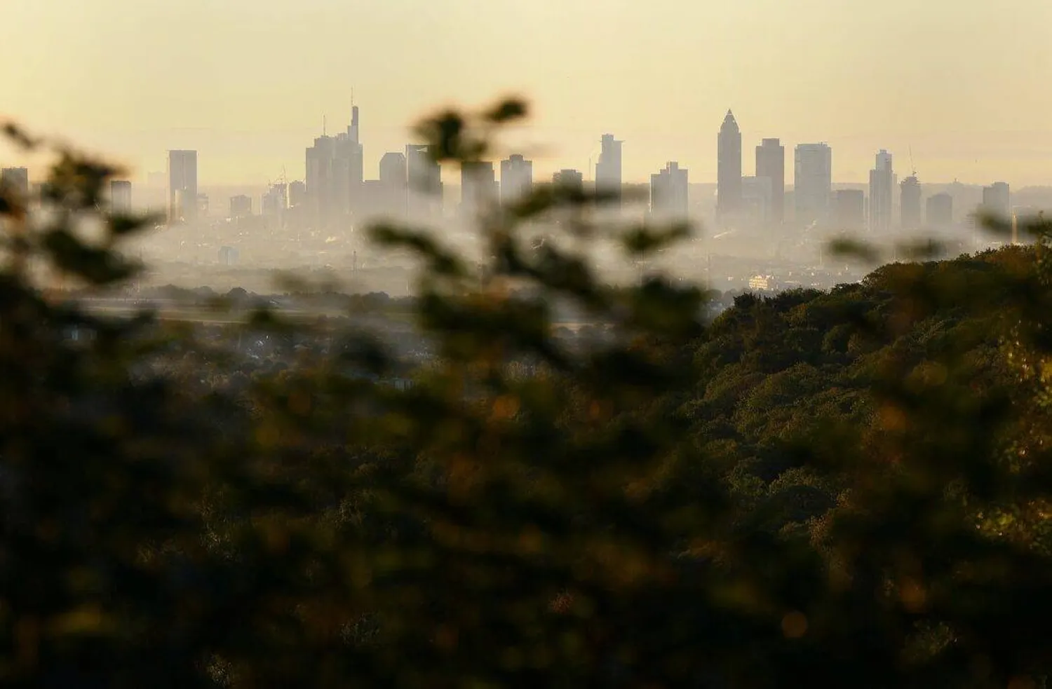 أفق مدينة فرنكفورت بينما ترتفع ناطحات السحاب في الخلفية (رويترز)