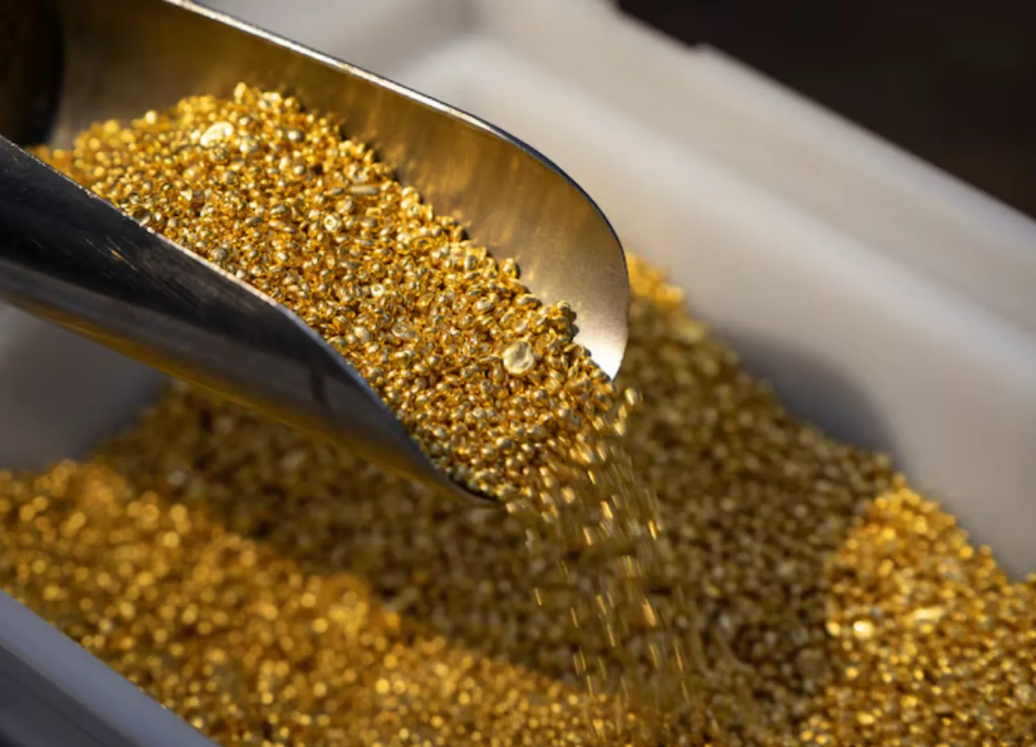An employee takes granules of 99.99 percent pure gold in a workroom during production at Krastsvetmet precious metals plant in the Siberian city of Krasnoyarsk, Russia, May 23, 2024. REUTERS/Alexander Manzyuk/ File Photo 