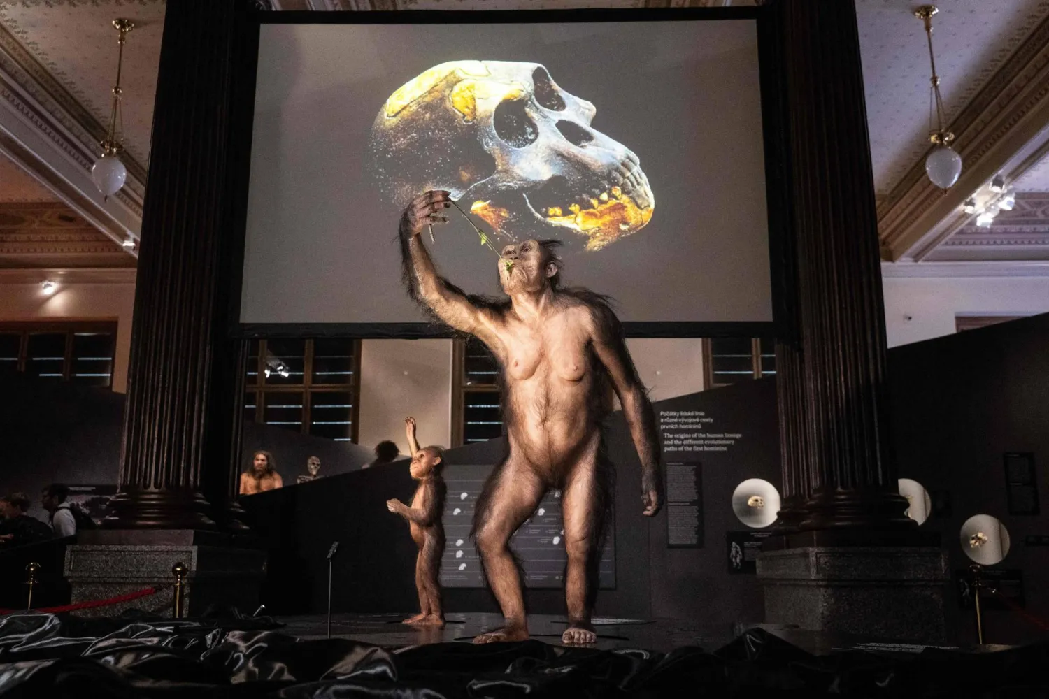 الهيكل العظمي الشهير «لوسي» في براغ (أ.ف.ب)