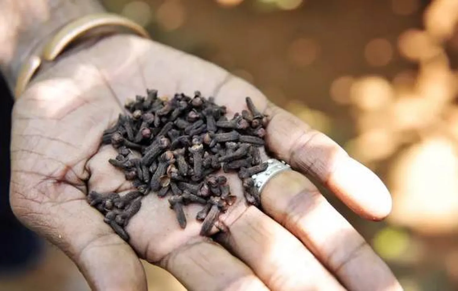 يُستخدم القرنفل منذ زمن طويل بصفته علاجاً منزلياً لآلام الأسنان (أرشيفية - الشرق الأوسط)