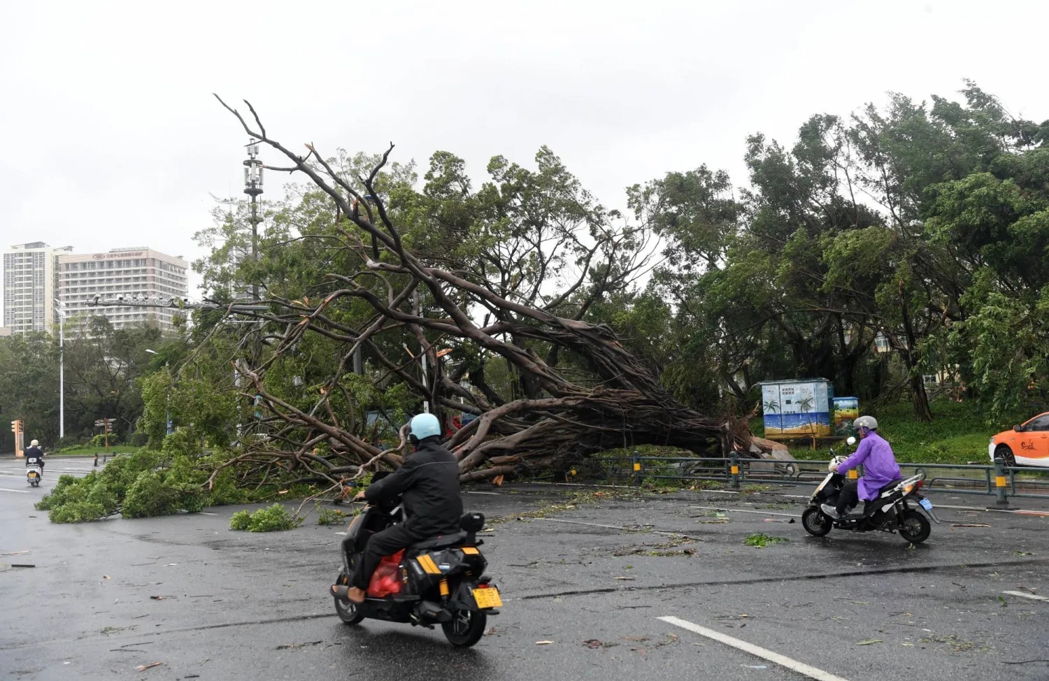 Citizens ride past fallen trees in Sanya, south China's Hainan Province, 25 August 2025. EPA/XINHUA / ZHAO YINGQUAN 