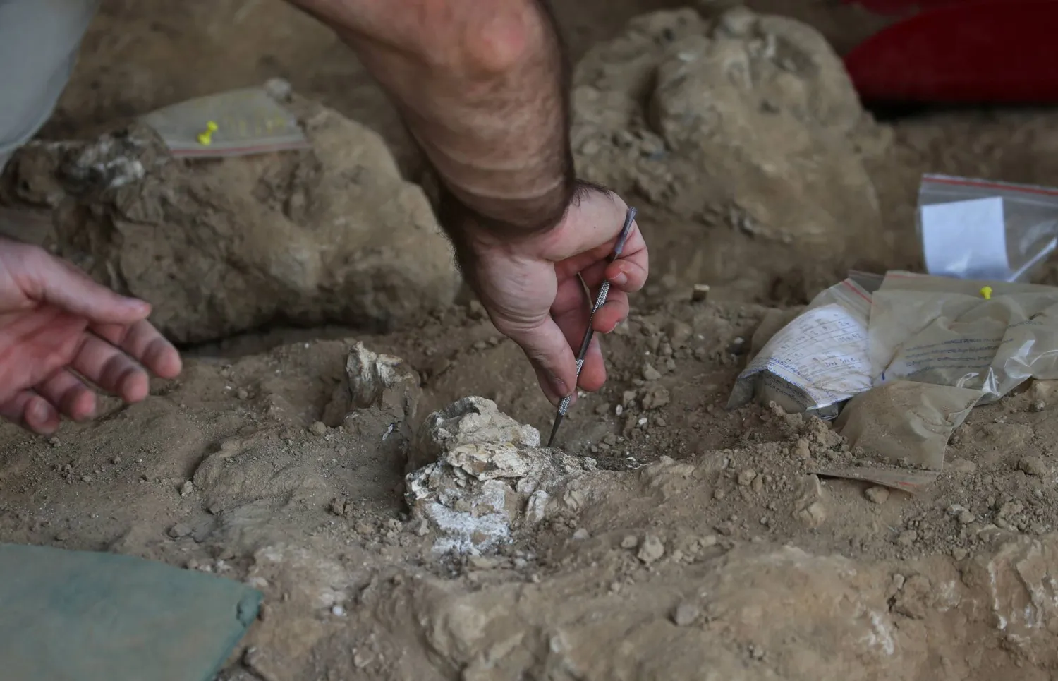 An archaeologist works at the excavation site where a presumably dated 1.8-million-year-old lower jawbone belonging to an early species of human was found, in the village of Kvemo Orozmani, Georgia August 15, 2025. REUTERS/Irakli Gedenidze