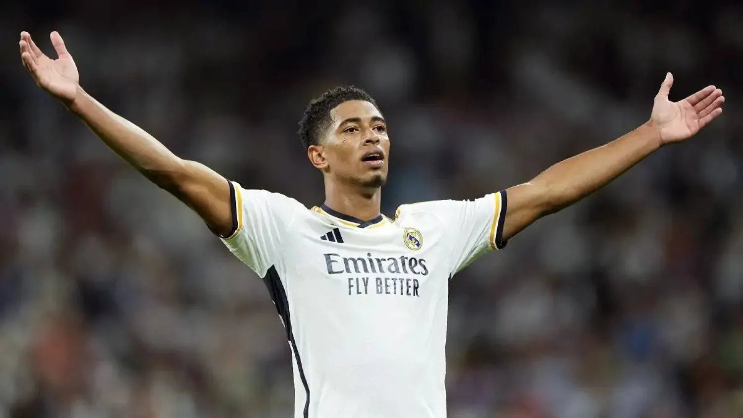 بيلينغهام (الشرق الأوسط)