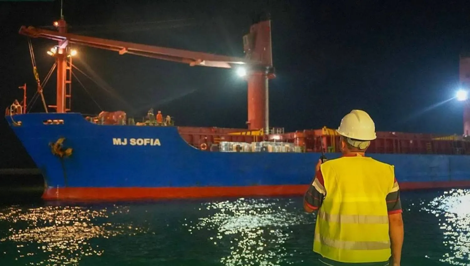 A technician at the port of Tartus welcomes the first shipment of agricultural products after the lifting of western sanctions (X). 