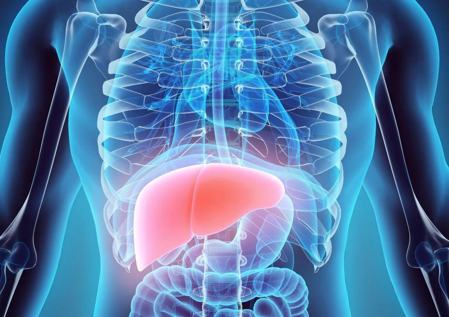 التهاب الكبد الدهني قد يؤدّي مع مرور الوقت إلى تليف الكبد (جامعة فرجينيا كومونولث)
