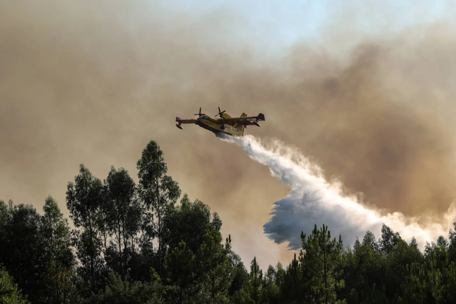 طائرة «كانادير» تلقي الماء على نيران متأججة في محيط منطقة ليريا البرتغالية (إ.ب.أ)