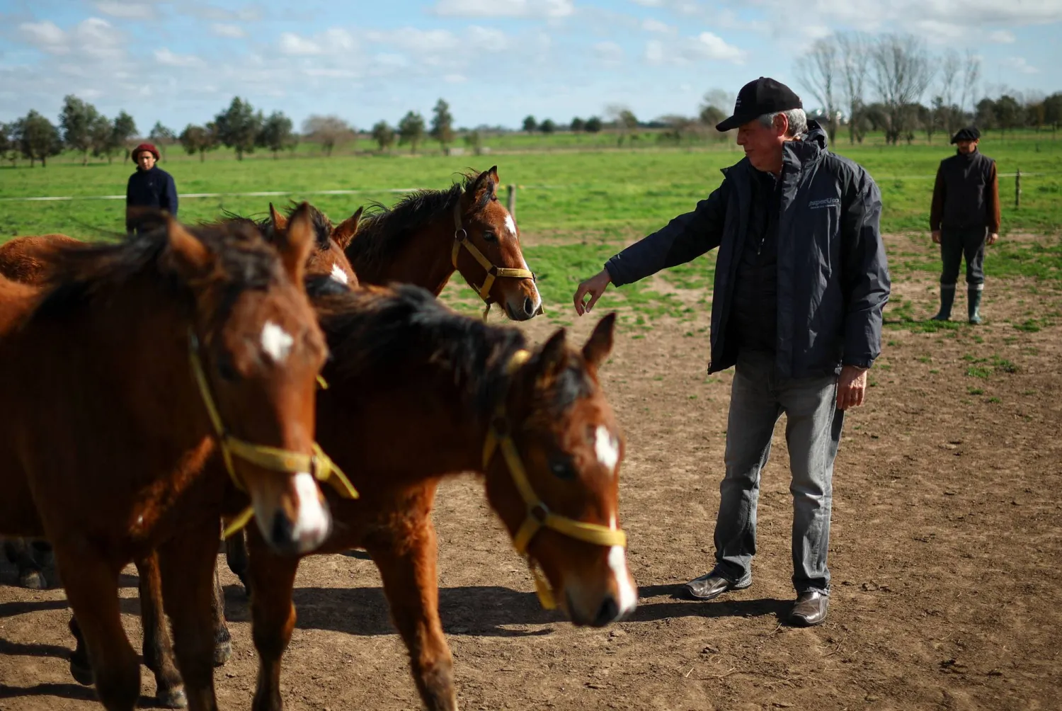 المؤسِّس المُشارك لشركة «خيرون» للتكنولوجيا يداعب أحد أول الخيول المعدلة وراثياً (رويترز)