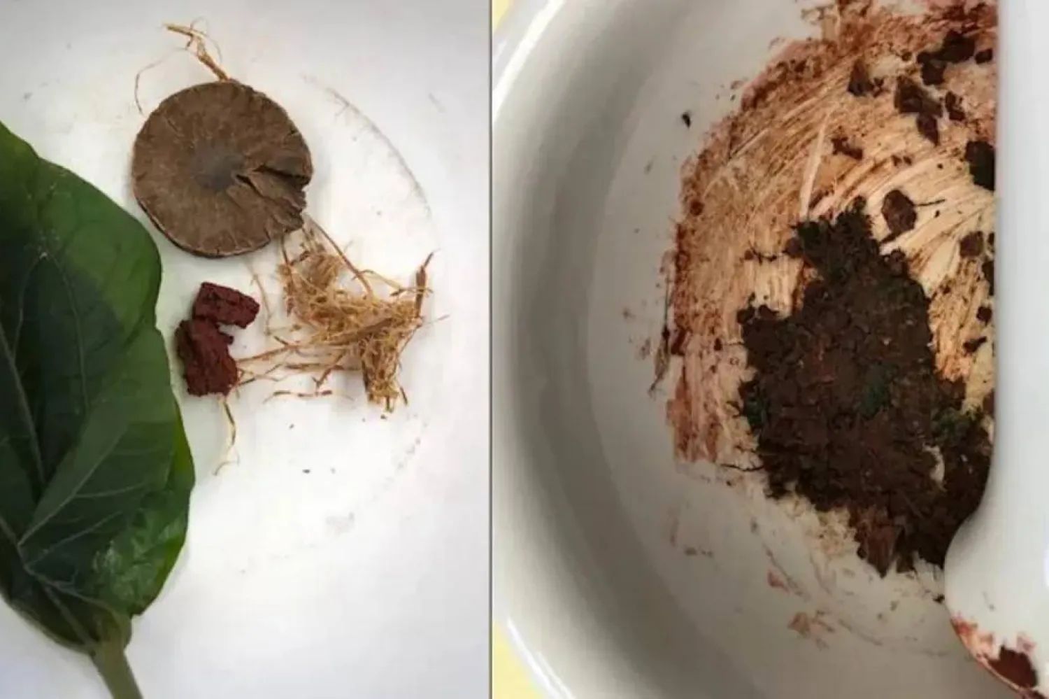 Betel cevizi, enerji ve rahatlama hissi vermesiyle biliniyor (Piyawit Moonkham)