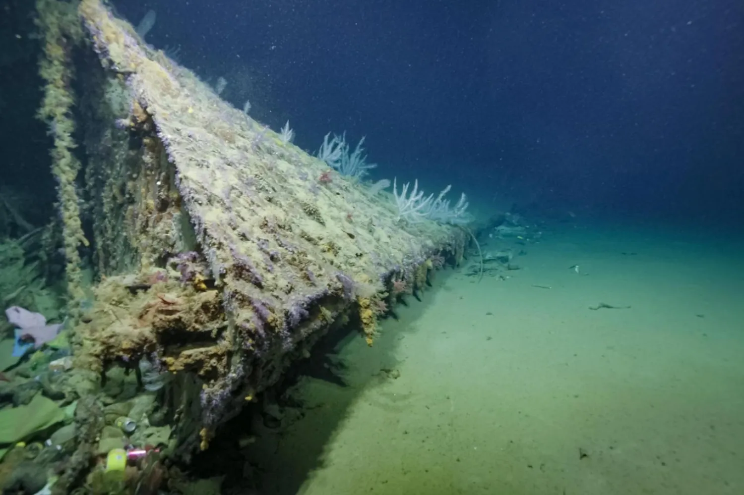 USS New Orleans'ın pruvası Iron Bottom Sound'ın tabanında yatıyor (Ocean Exploration Trust/NOAA)