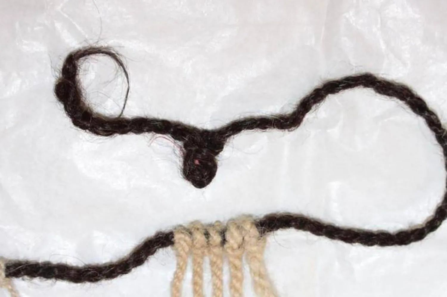 İnka khipu'sunun ana kordonu üzerinde koyu kahverengi insan saçı bulundu (Sabine Hyland)