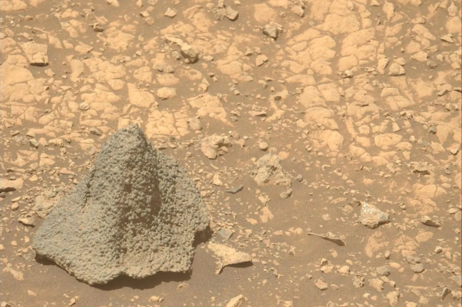 NASA'nın Mars Perseverance uzay aracı, cadı şapkası veya miğfer şeklindeki "Horneflya" kayasının bu fotoğrafını çekti (NASA)