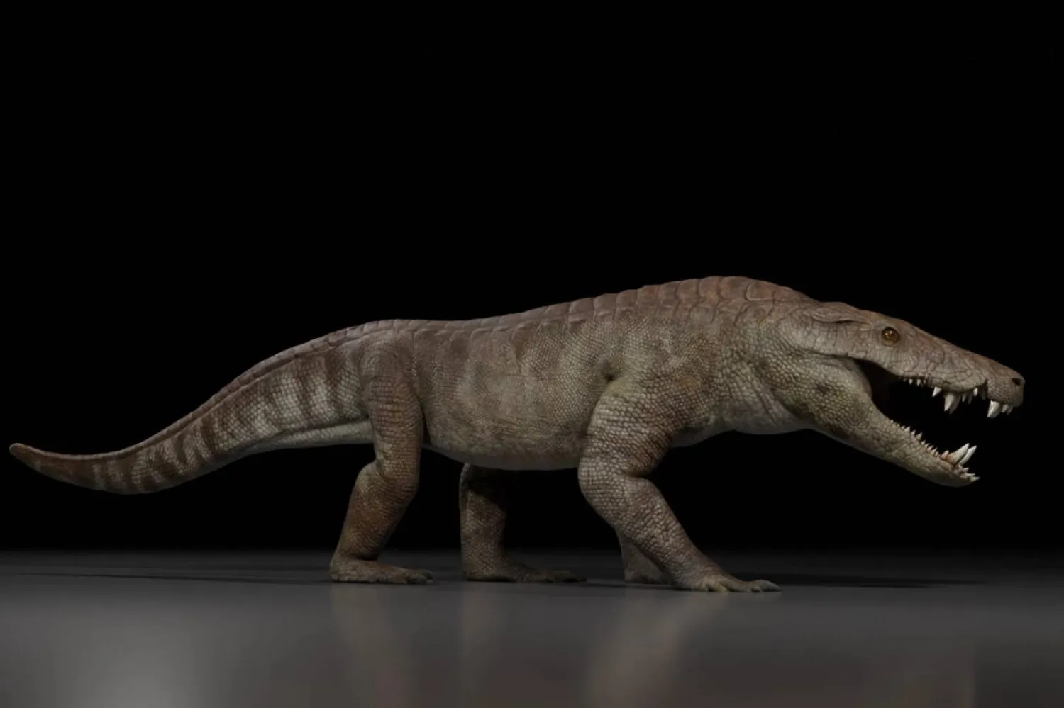 Kostensuchus atrox'un bir sanatçı tarafından yapılan rekonstrüksiyonu (Gabriel Diaz Yanten)