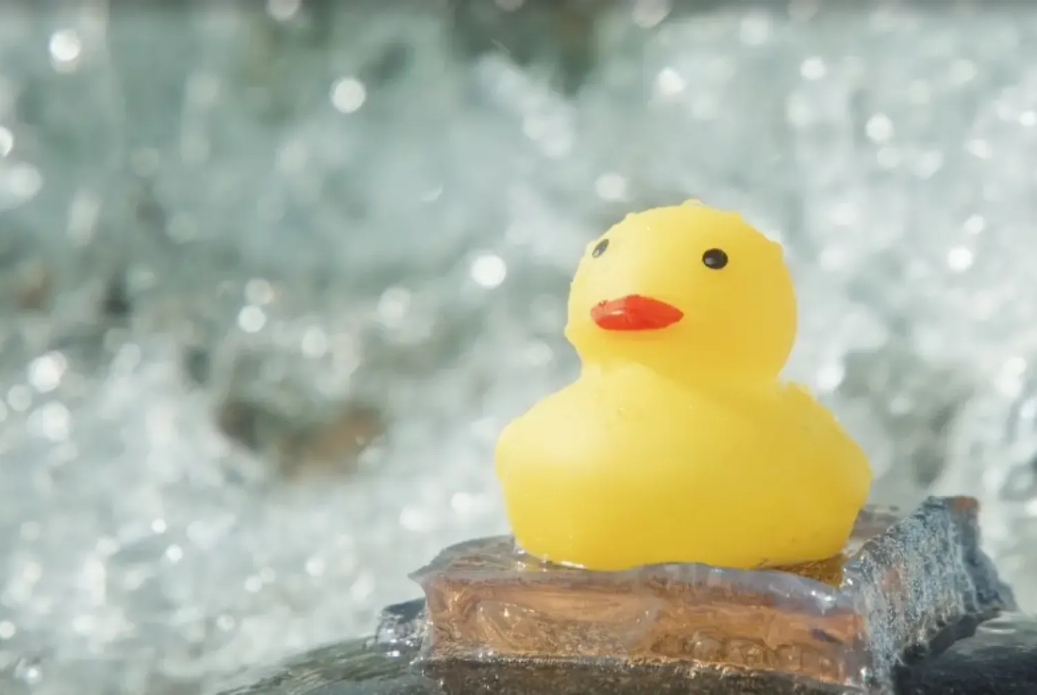 المادة الهلامية المستوحاة من البرنقيل تجسّد تحولاً في ابتكار المواد بفضل الذكاء الاصطناعي (Hao Guo, Hongguang Liao and Hailong Fan)