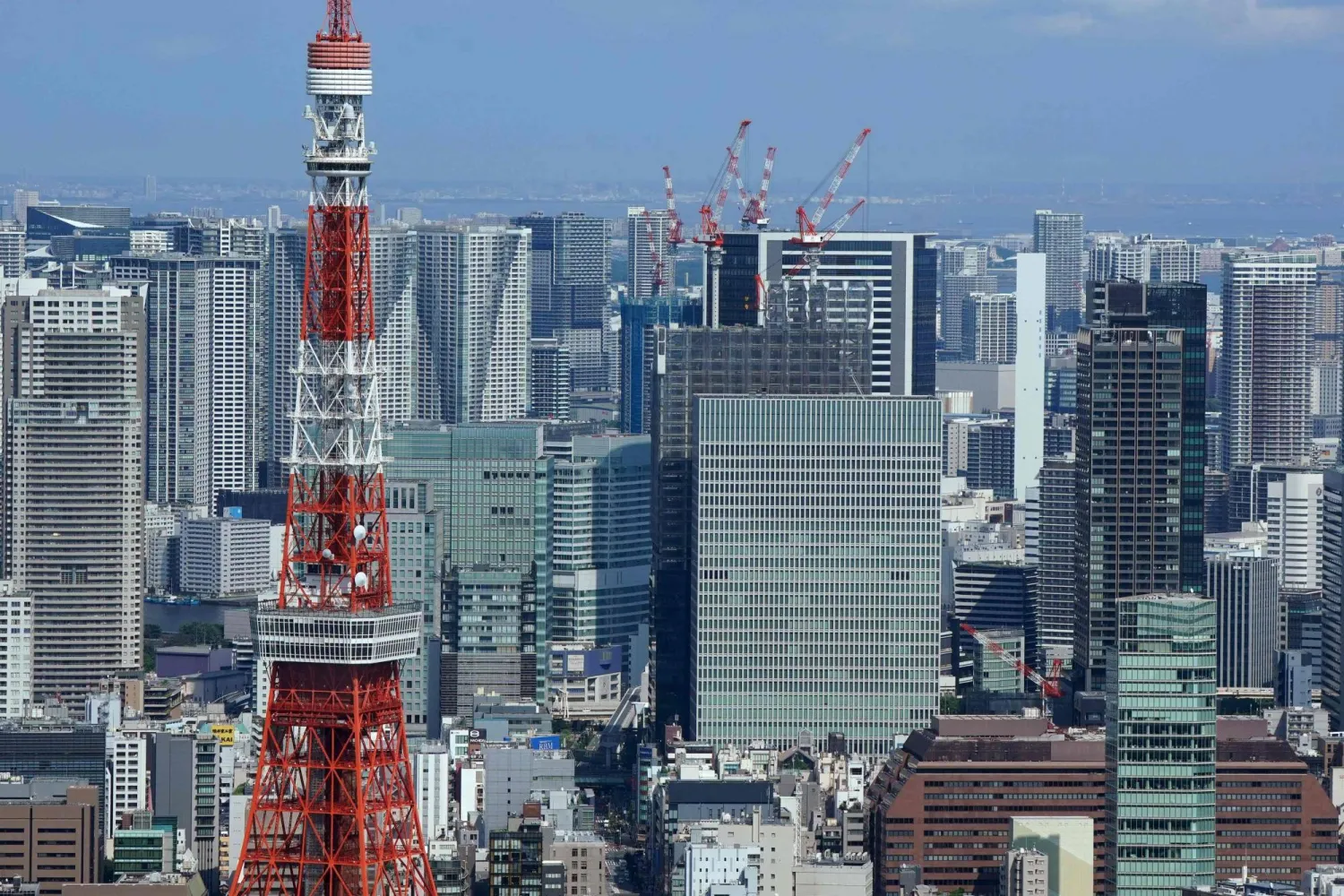 This photo taken on August 14, 2025 shows the Tokyo skyline. (Photo by Kazuhiro NOGI / AFP)