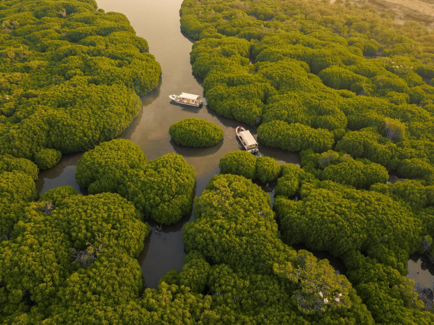 يسعى المركز إلى تحقيق الهدف «30X30» من خلال حماية 30% من مساحة المملكة البرية والبحرية بحلول عام 2030 (الشرق الأوسط)