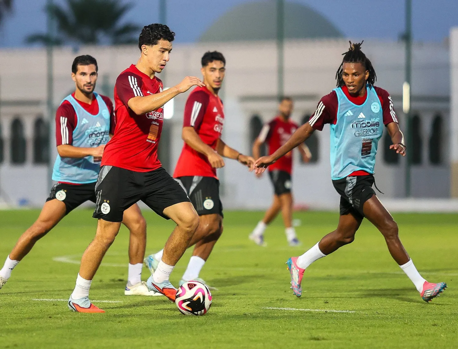 جانب من تحضيرات «الخضر» لمواجهة بوتسوانا وغينيا (الاتحاد الجزائري)