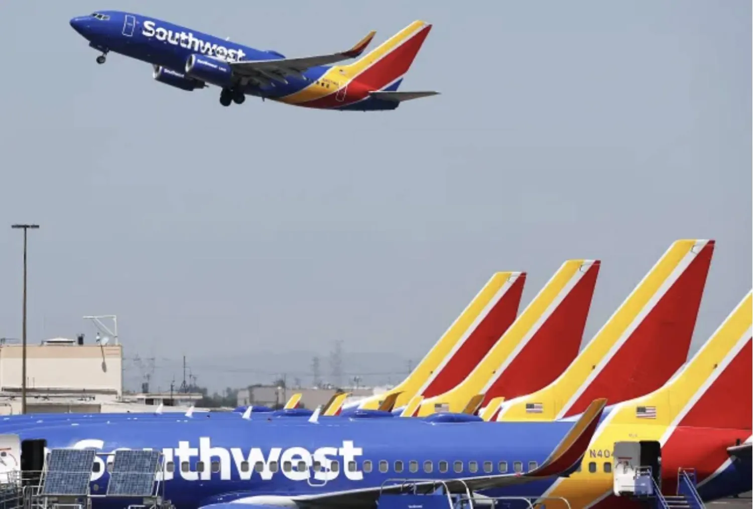 شركة «ساوث ويست إيرلاينز» الأميركية تطبق القرار (ساوث ويست إيرلاينز)