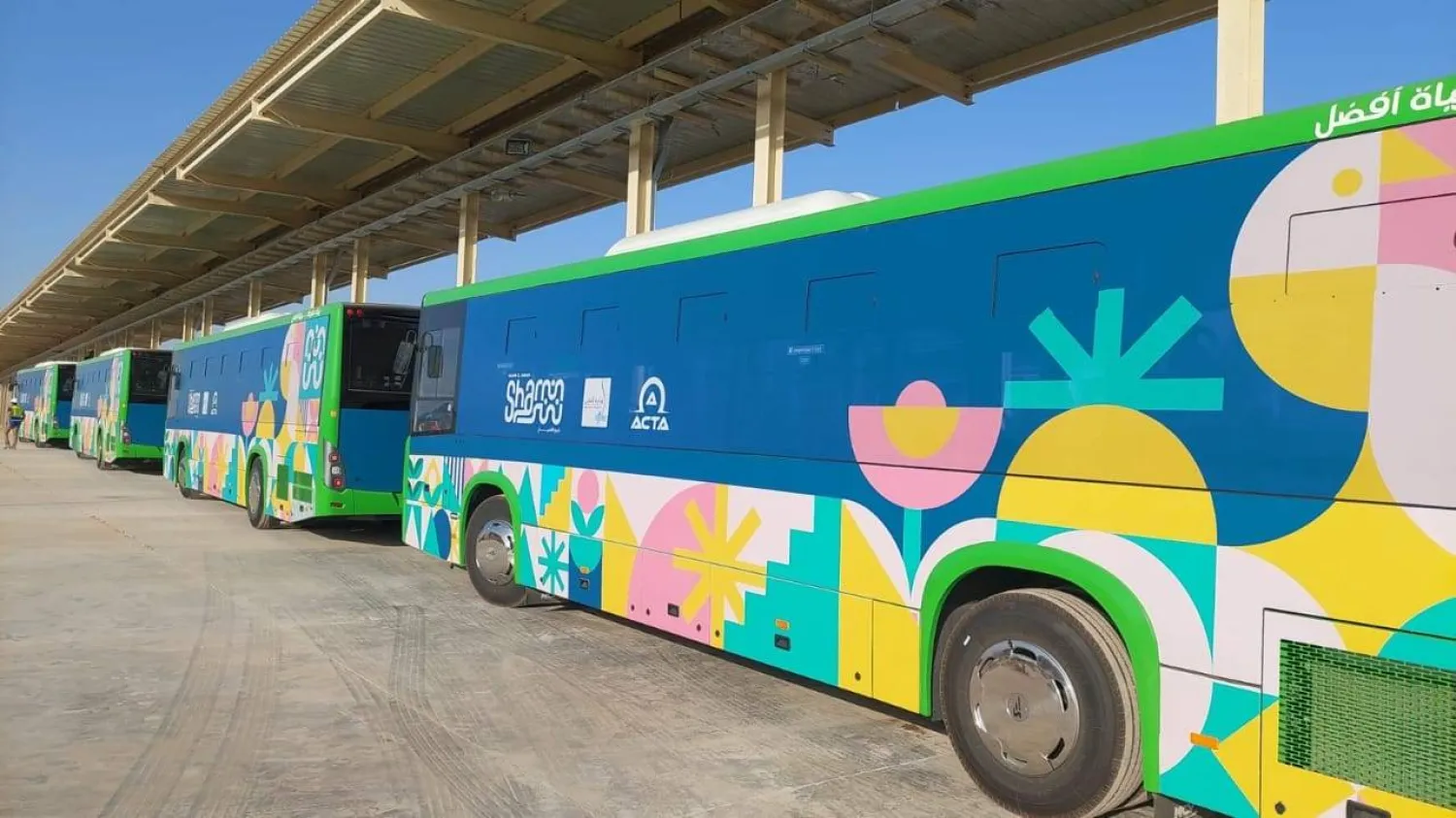 حافلات مصرية تعمل بالكهرباء (وزارة النقل)
