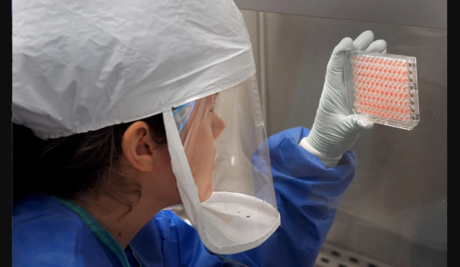 معدل الوفيات بسبب داء الفيالقة يبلغ نحو 10% (رويترز)