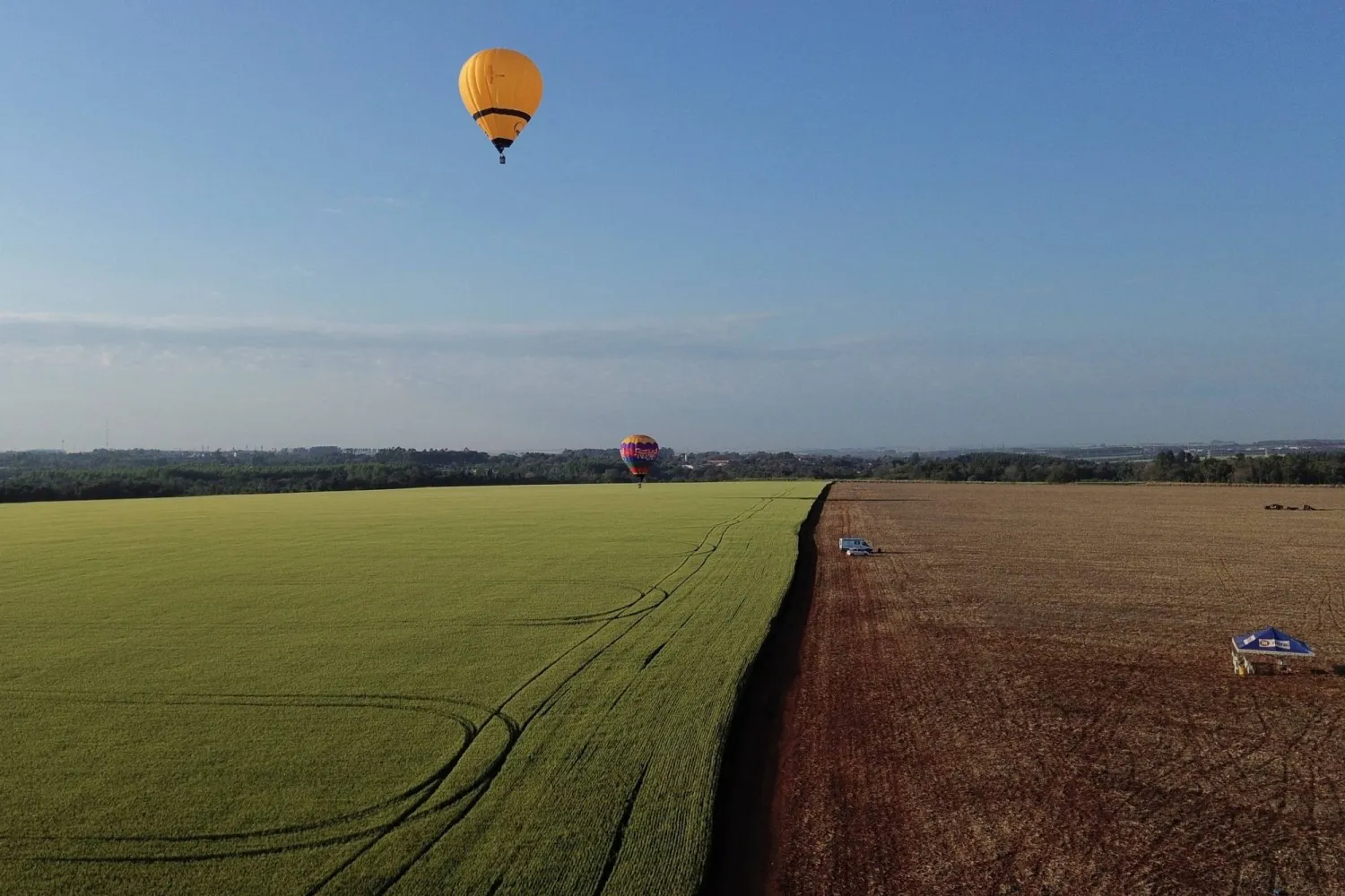 منطاد هوائي يحلّق بالقرب من حقل للقمح خلال بطولة العالم للمناطيد الهوائية في باراغواي الشهر الماضي (رويترز)
