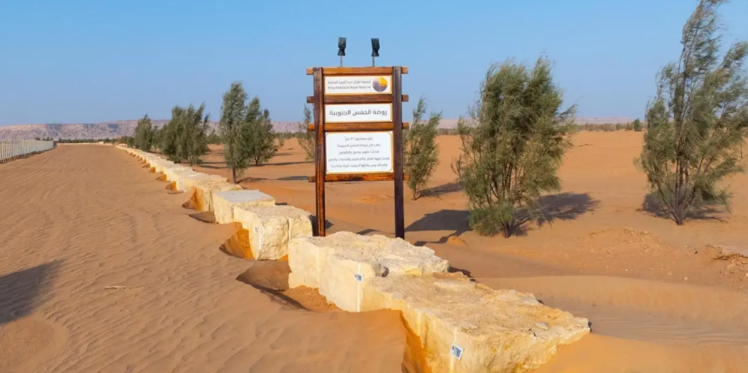 The third project involves the construction of protective barriers, gates, and signboards in the Khafs and Noura meadows to better manage visitor traffic and preserve these areas - SPA