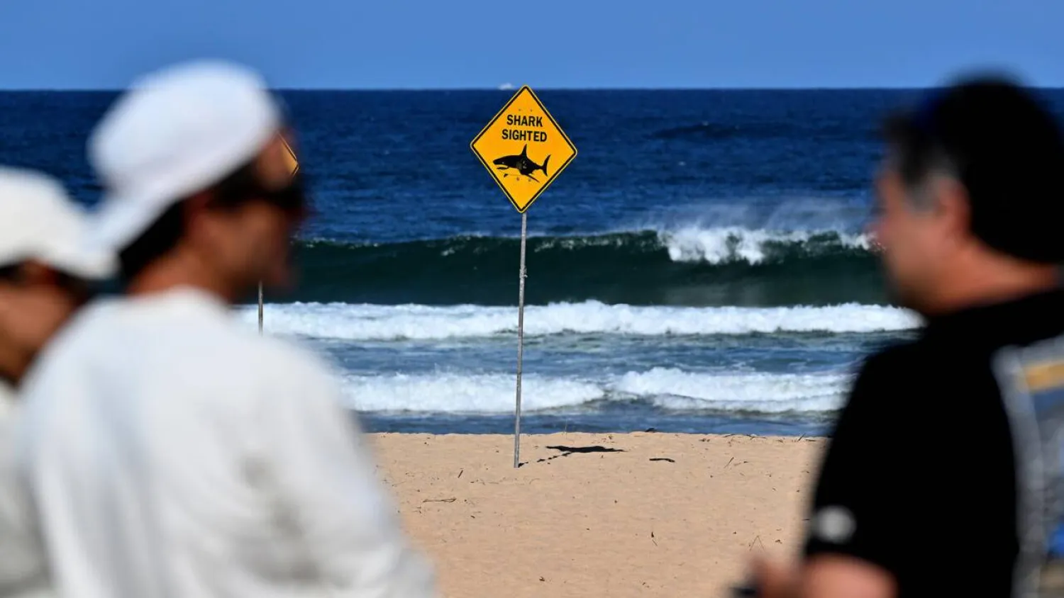 It was the first fatal shark attack in Sydney since 2022, when 35-year-old British diving instructor Simon Nellist was killed off Little Bay. Saeed KHAN / AFP
