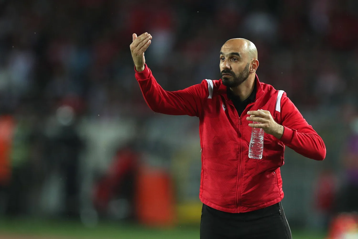 وليد الركراكي مدرب أسود الأطلس (كاف)