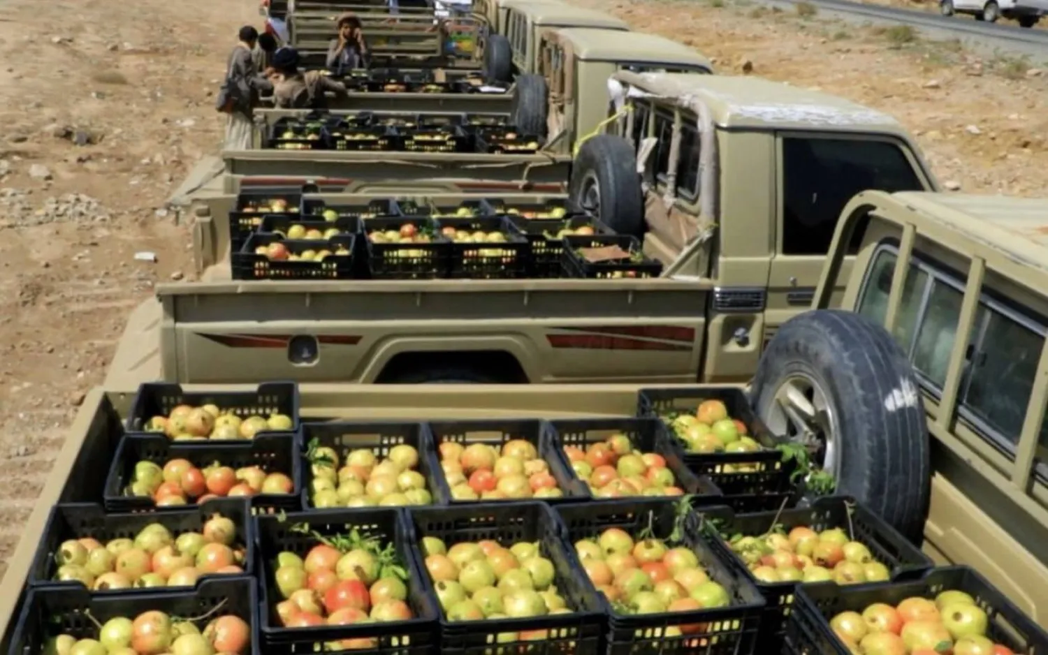 على الرغم من الأوضاع المتدهورة أجبر الحوثيون المزارعين على التبرع بجزء من محاصيلهم (فيسبوك)