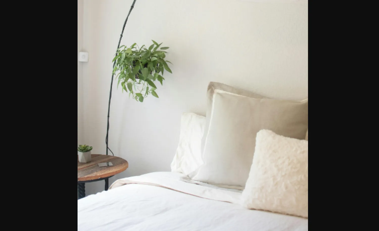 نبتة صغيرة تظهر إلى جانب سرير داخل غرفة نوم (بيكسيلز)