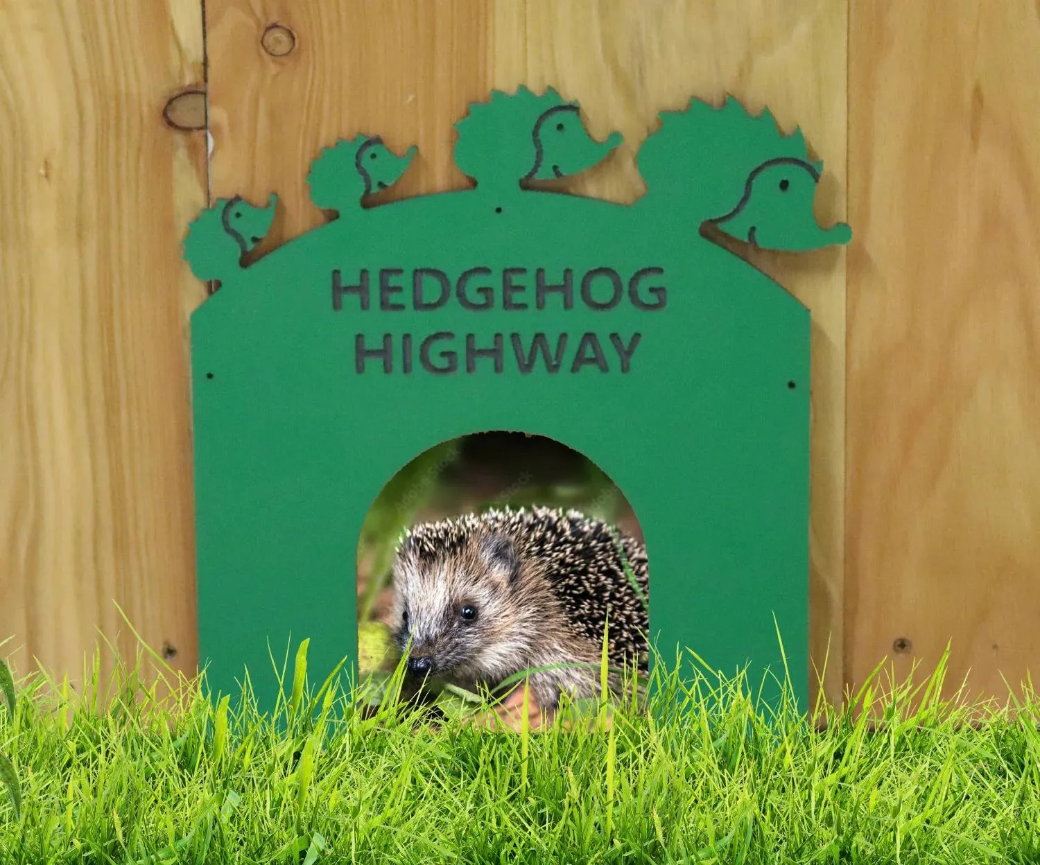 نافذة قد تُنقذ حياة طائر (مجتمع الحياة البرّية)