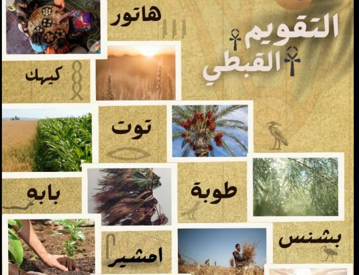 التقويم القبطي والمصري القديم ارتبط بالزراعة والفيضان (قطاع المتاحف بوزارة السياحة والآثار)