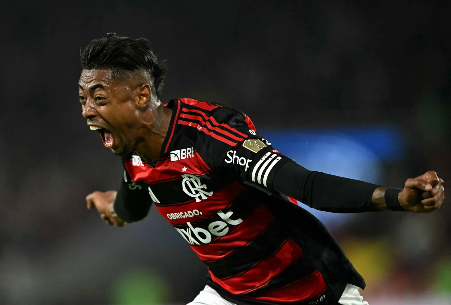 برونو هنريكي (أ.ف.ب)