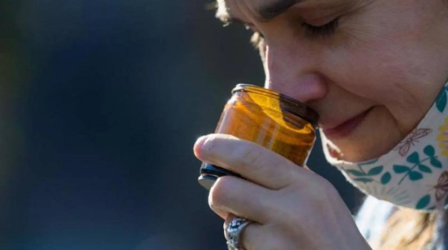 ترتبط حاسة الشم لدينا ارتباطاً وثيقاً بالمزاج والإدراك والرفاهية العامة (أ.ف.ب)