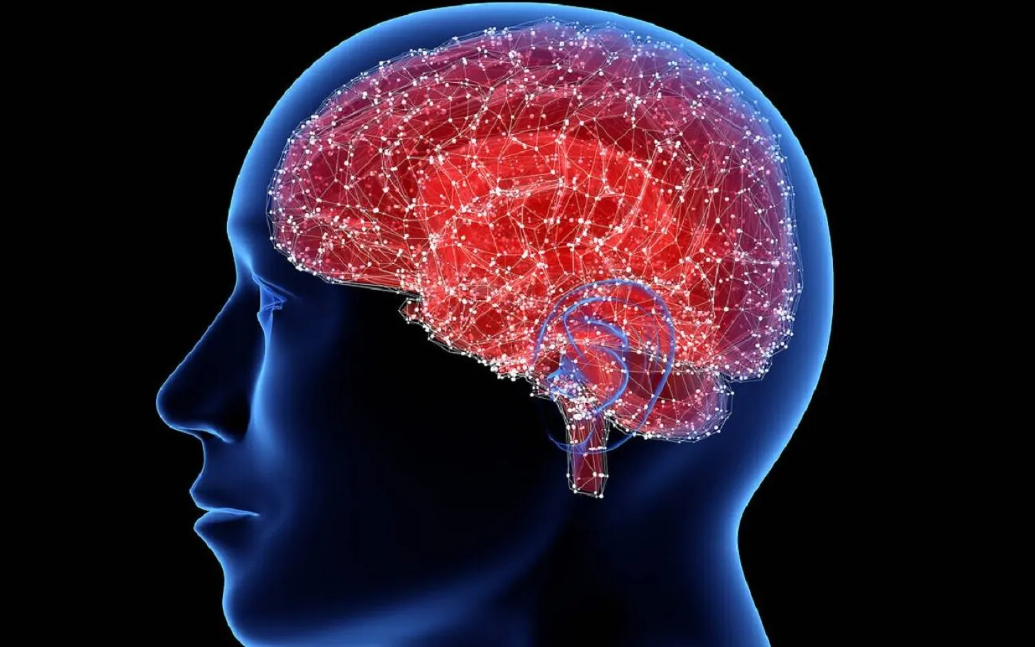 أمراض «التنكس العصبي» مثل «ألزهايمر» تؤدي لفقدان تدريجي للخلايا العصبية (جامعة كوينزلاند)