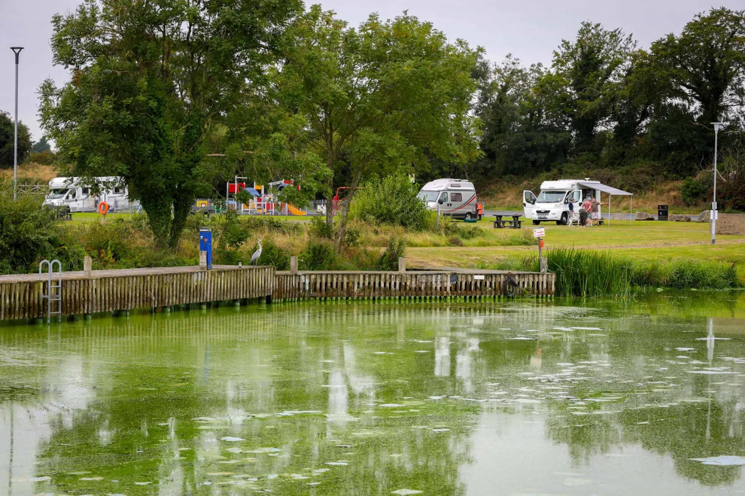 مياه بحيرة لوك ناي في آيرلندا الشمالية ملوثة بالطحالب الخضراء (أ.ف.ب)