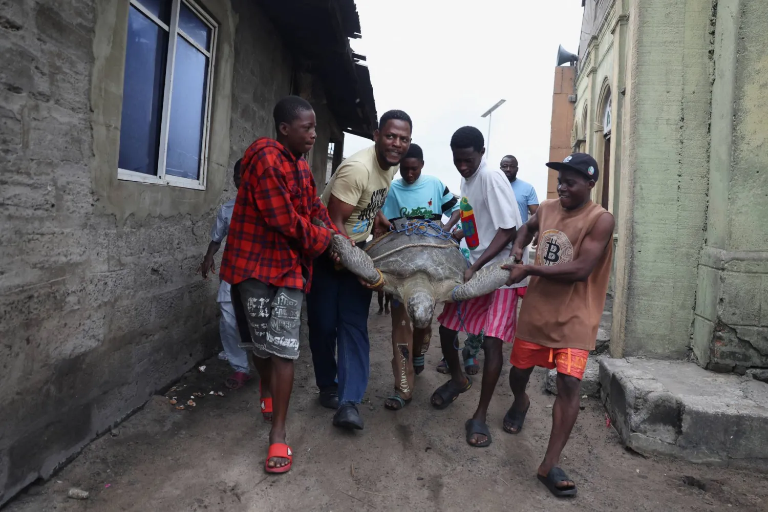 Chinedu Mogbo, a wildlife conservationist, carries Moruf, a sea turtle, after rescuing it from poachers in a fishing community along the Ibeju-Lekki coastline in Lagos, Nigeria, July 29, 2025. REUTERS/Sodiq