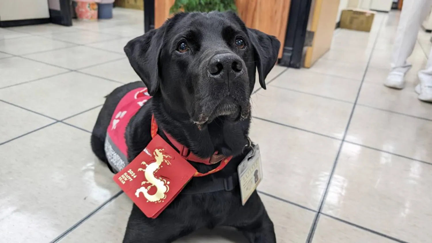 بطل بلطفه (مستشفى تايبيه)