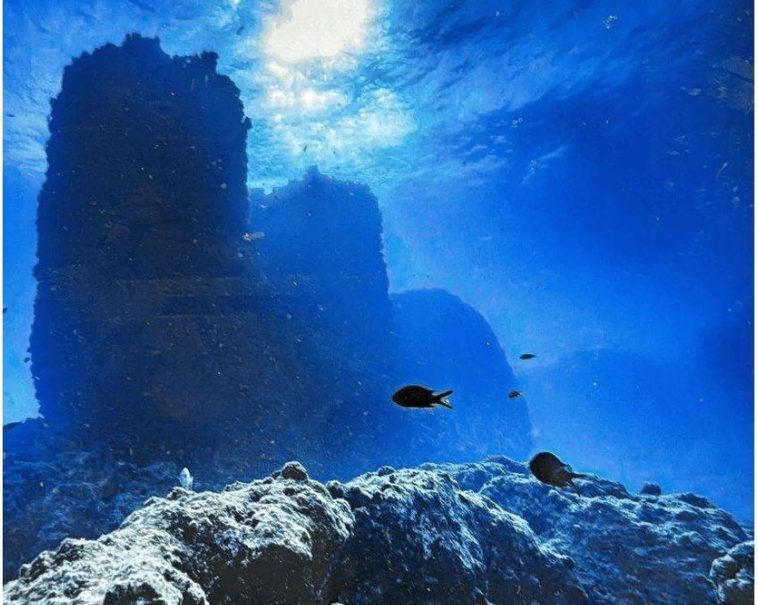 جانب من الاكتشاف الأثري (وزارة السياحة والآثار)