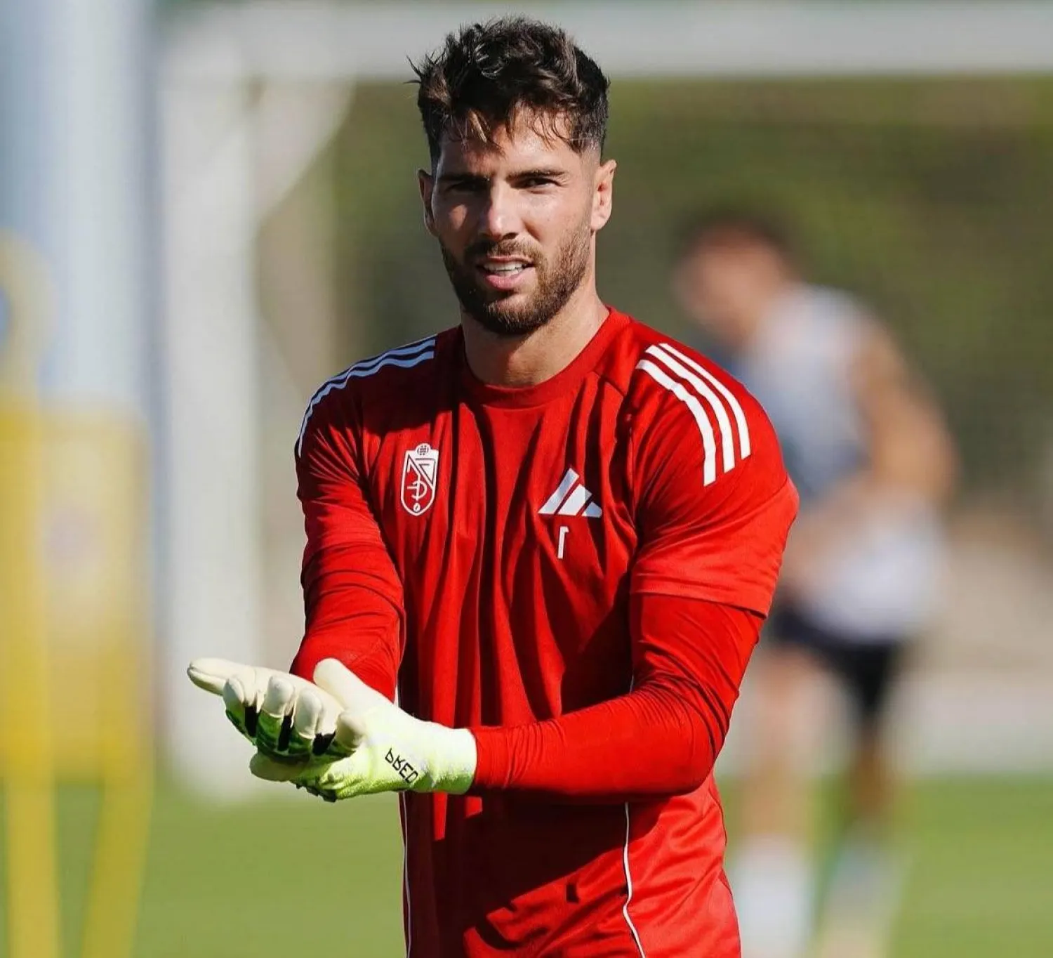 لوكا زيدان (الشرق الأوسط)