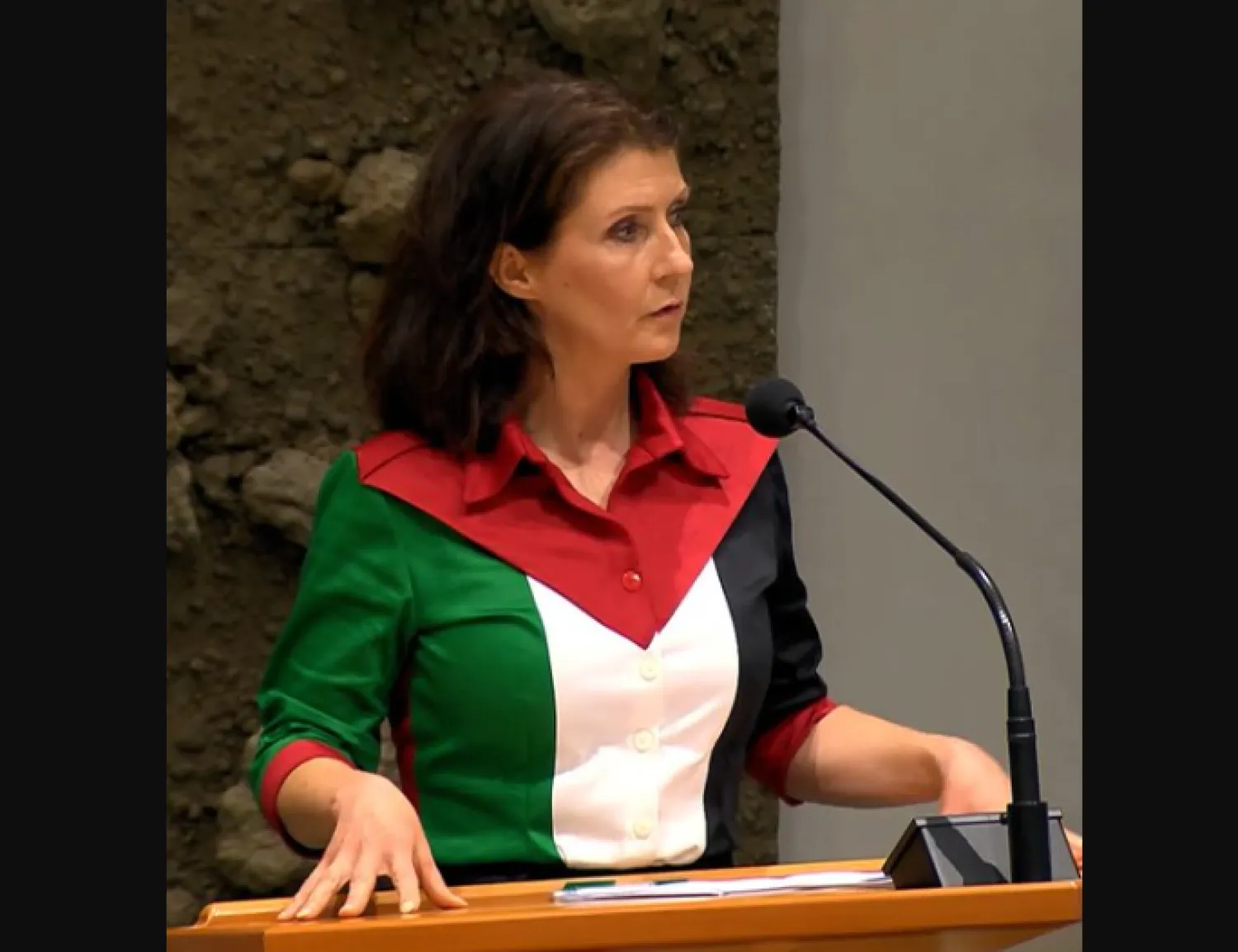 النائبة الهولندية إستر أويهاند تظهر وهي ترتدي قميصاً بنفس ألوان العلم الفلسطيني داخل برلمان بلادها (إكس)