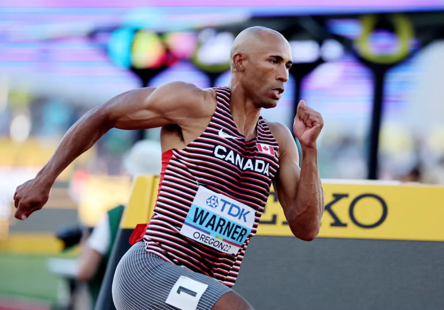 داميان وارنر (رويترز)