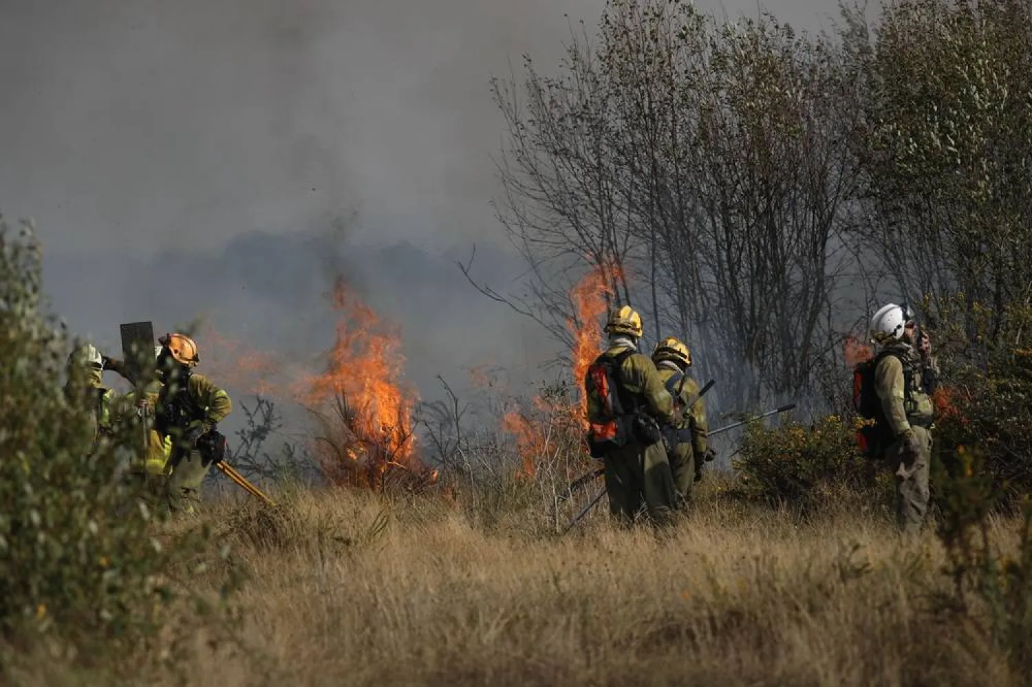 Firefighters work to extinguish a new forest fire that started in the Sil Canyon and is spreading to Lornis, Lugo, North Spain, 19 September 2025. (EPA) 